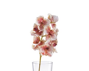 ORCHID ARTIFICIAL FLOWER