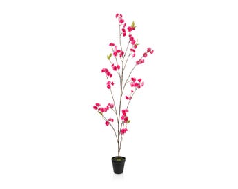 BLOSSOM POTTED PLANT