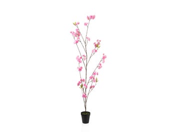 BLOSSOM POTTED PLANT