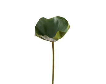 WATERLILY ARTIFICIAL LEAF