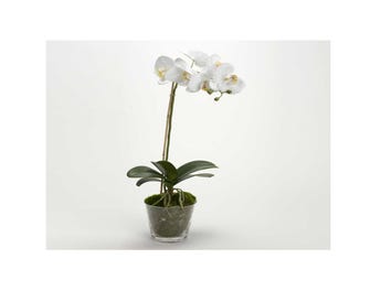 DIVA ARTIFICIAL POTTED FLOWER