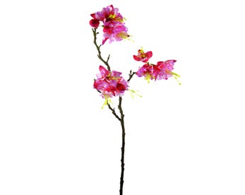 زهور صناعية فوشيسيا