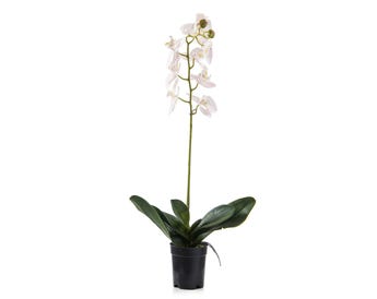 ORCHID ARTIFICIAL FLOWER WITH POT