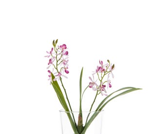 ORCHID COLIC  ARTIFICIAL FLOWER