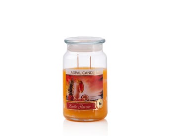 EXOTIC FLAVOUR SCENTED CANDLE JAR LARGE