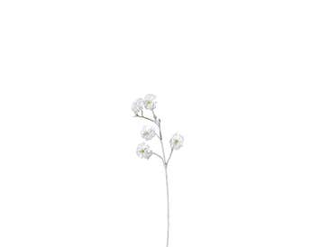 زهور صناعية كليميتس