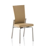 MOLLY DINING CHAIR