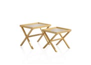 DELSICA NESTED TABLE SET OF 2